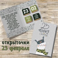 Открытка 23 февраля с котом 23Ф55